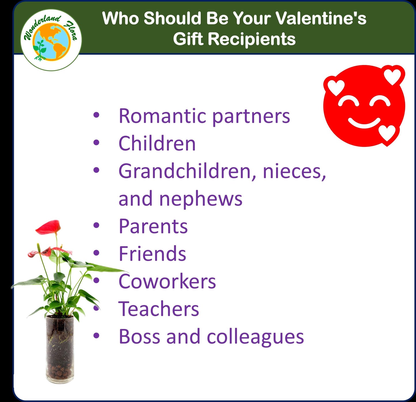 Anthurium in Glass Vase with LECA Pebbles for Drainage – Flowering Plant, Air Purifier, Indoor Plants, Houseplants, Free Heat Pack