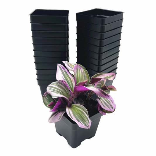 100-Pack 3-Inch Square Nursery Pots with Drainage - Reusable Seed Starting Pots for Succulents, Herbs, Seedlings