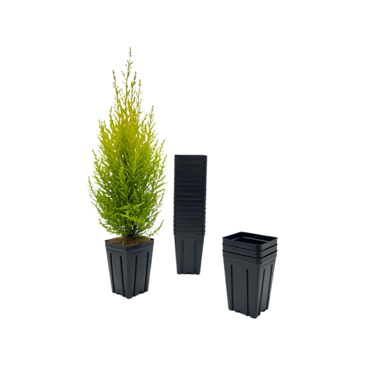 50-Pack Deep 3.5-inch Square Nursery Pots with Drainage Holes – Extra Tall Plant Starter Containers for Seedlings, Herbs, Succulents, and Cuttings (50 Count)