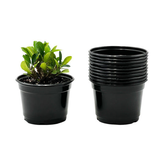 25-Pack 5-Inch Round Nursery Pots with Drainage - Stackable Black Plastic Planters for Seedlings, Herbs, Succulents & Flower (25 Count)