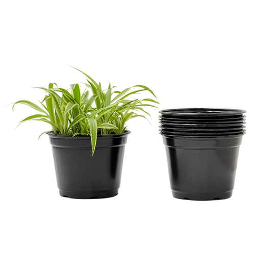 25-Pack 6-inch Round Nursery Pots with Drainage Holes - Stackable Black Plastic Planters for Perennials, Vegetables, Herbs & Indoor Plants (25 Count)