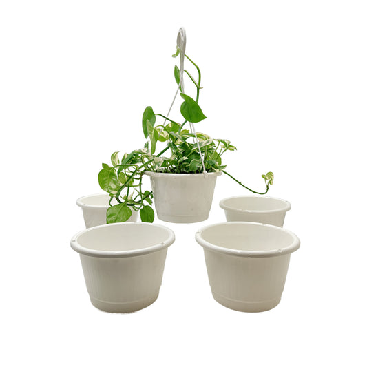 5-PK of 8-inch White Plant Hanging Baskets – Large Round Indoor Outdoor Planters for Trailing & Tropical Plants (5 Count)