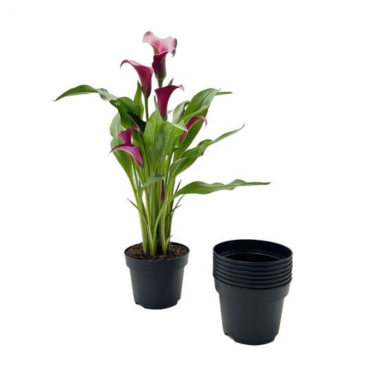 30-Pack 4.5-inch Round Nursery Pots with Drainage Holes – Durable Reusable Plastic Containers for Houseplants, Cuttings & Transplants