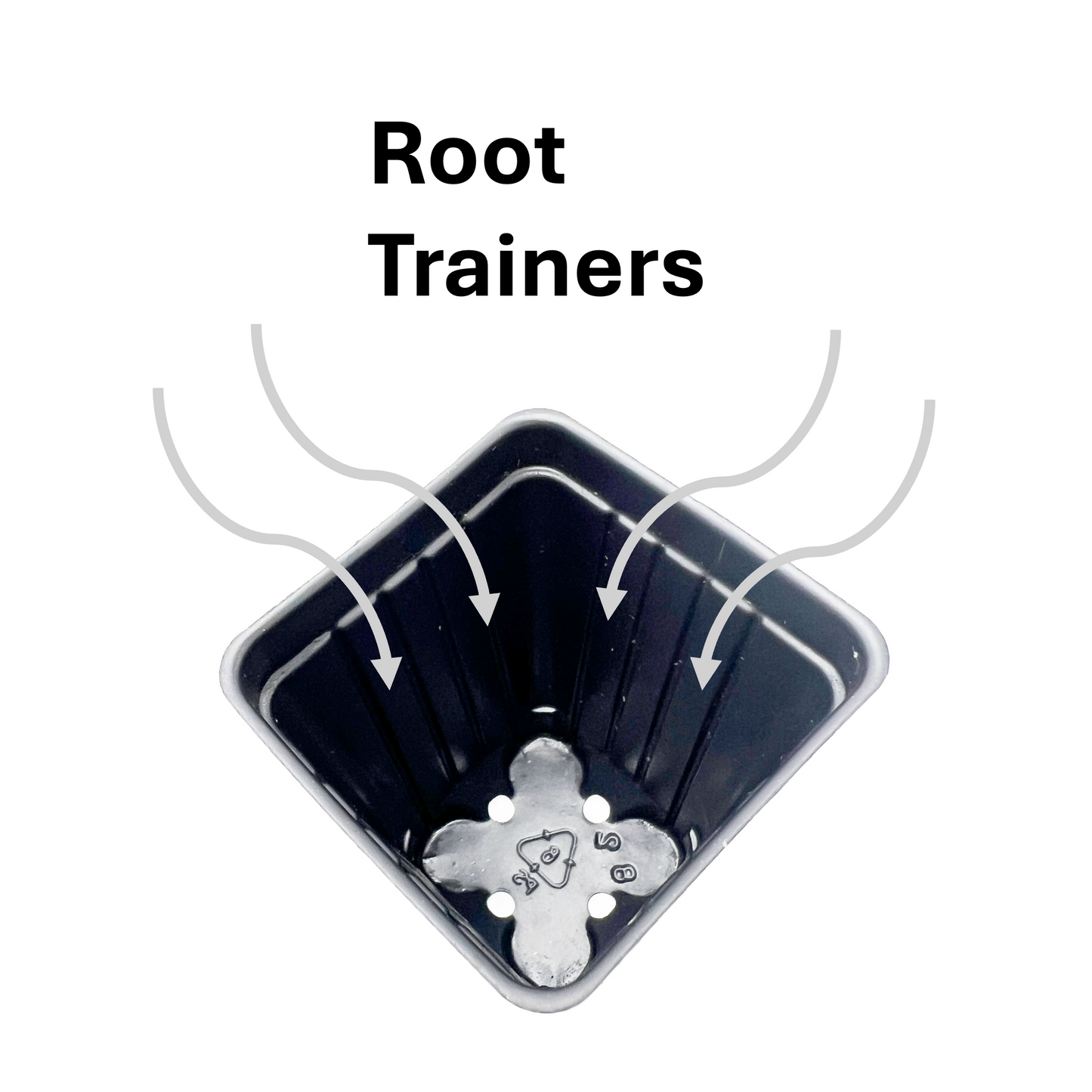 100-Pack of Deep 2-inch Root Trainer Pots for Seedlings and Cuttings (100 Count)