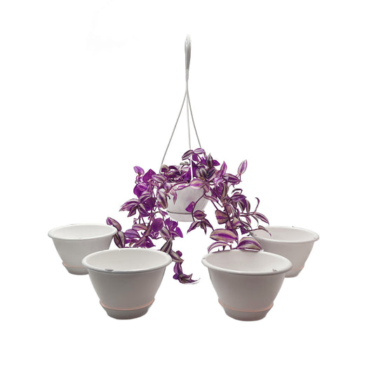 5-PK of 6-inch White Plant Hanging Baskets by Koba with Detatchable Bottom Saucers – Round Indoor Outdoor Planters for Trailing Plants & Herbs (5 Count)