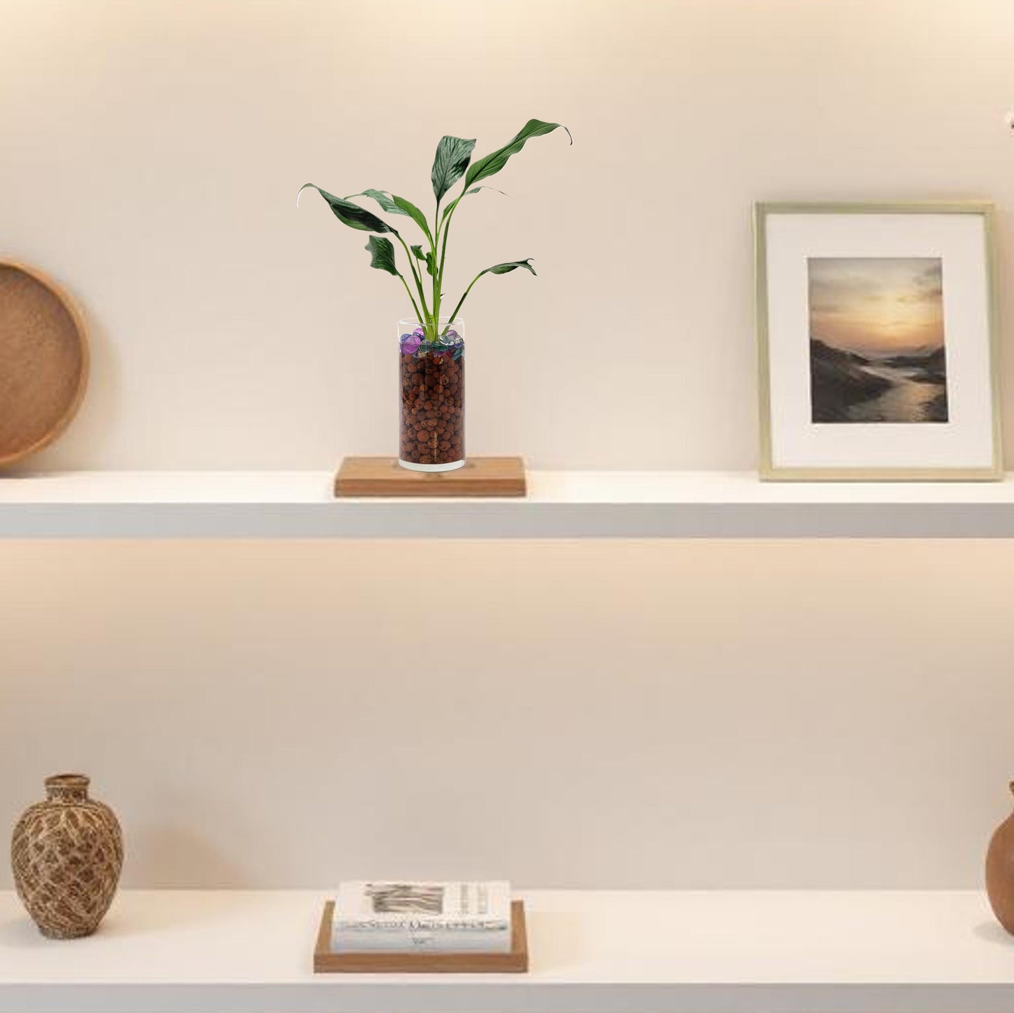 Peace Lily in a Modern Glass Hydroponic Cylinder Planter with LECA Balls - Low Light Indoor Plant, Air Purifying Houseplant, Free Heat Pack