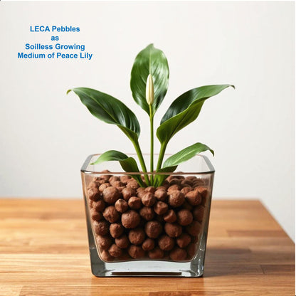 Premium LECA Clay Beads, Clay Pebbles, Grow Rocks, Clay Balls, Hydroponic Growing Medium – 2.5-LB Bag