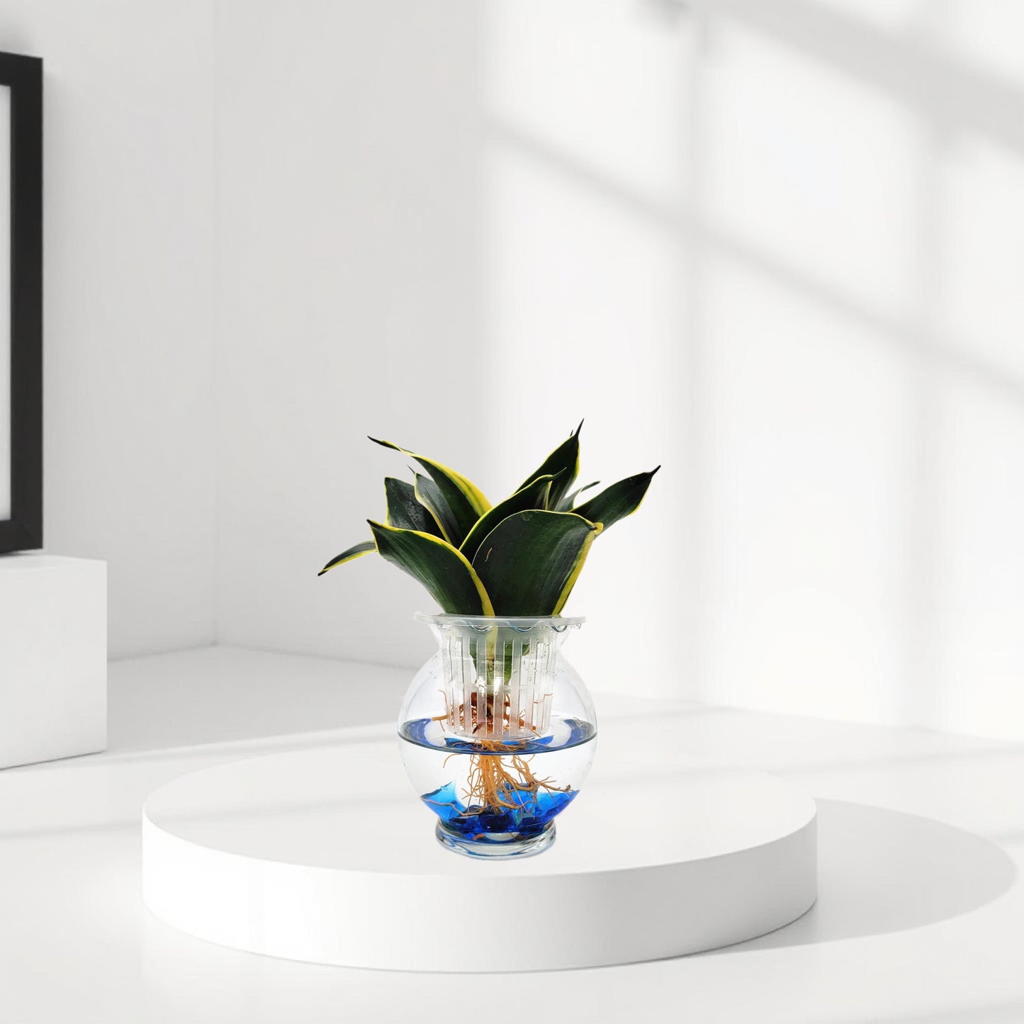 DIY Glass Hydroponic Planter Kit with Net Cup and Decorative Gems, Grow Your Plants in Water - Plant Not Included