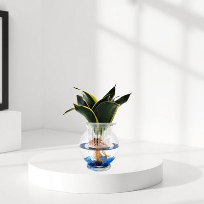 DIY Glass Hydroponic Planter Kit with Net Cup and Decorative Gems, Grow Your Plants in Water - Plant Not Included