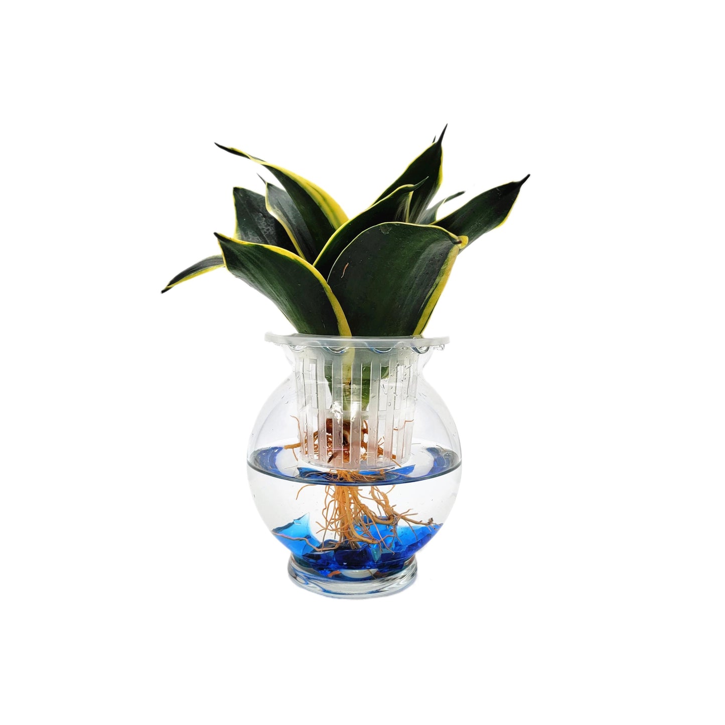 2-PK DIY Glass Hydroponic Planter Kit with Net Cup and Decorative Gems, Grow Your Plants in Water - Plant Not Included