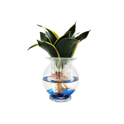 2-PK DIY Glass Hydroponic Planter Kit with Net Cup and Decorative Gems, Grow Your Plants in Water - Plant Not Included
