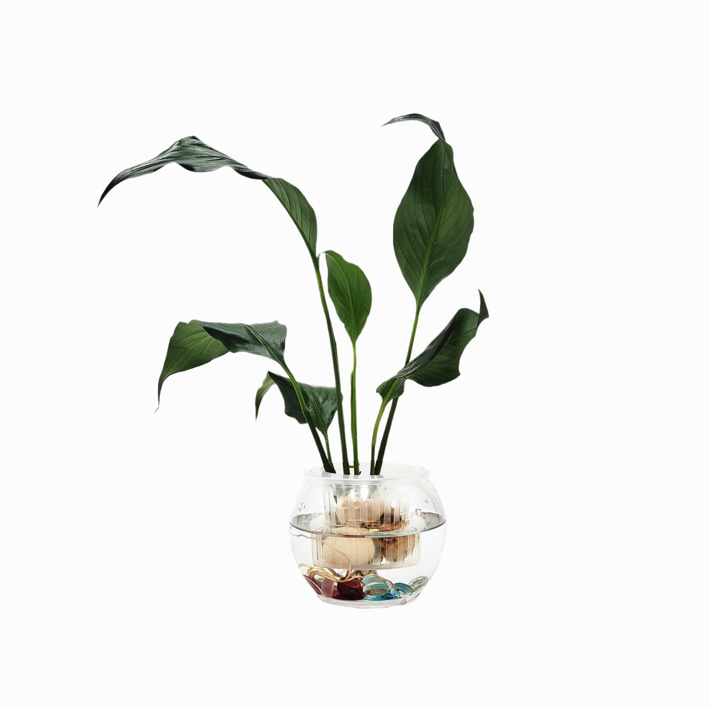 2-PK DIY Glass Hydroponic Planter Kit with Net Cup and Decorative Gems, Grow Your Plants in Water - Plant Not Included