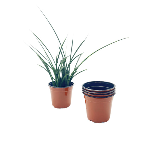 25-PK 4.5-inch Round Nursery Pots with Drainage - Stackable Terracotta-Style Plastic Planters for Seedlings, Herbs, Vegetables & Small Plants (25 Count)