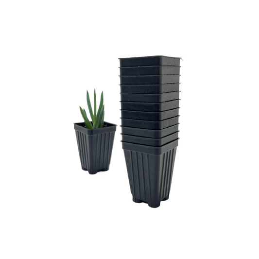 100-Pack of Deep 2-inch Root Trainer Pots for Seedlings and Cuttings (100 Count)