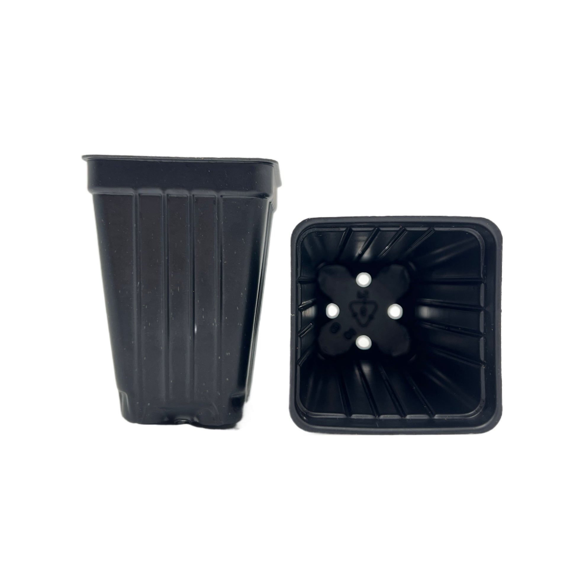 deep root plant pots 100-Pack of Deep 2-inch Root Trainer Pots for Seedlings and Cuttings ( – Wonderland Flora