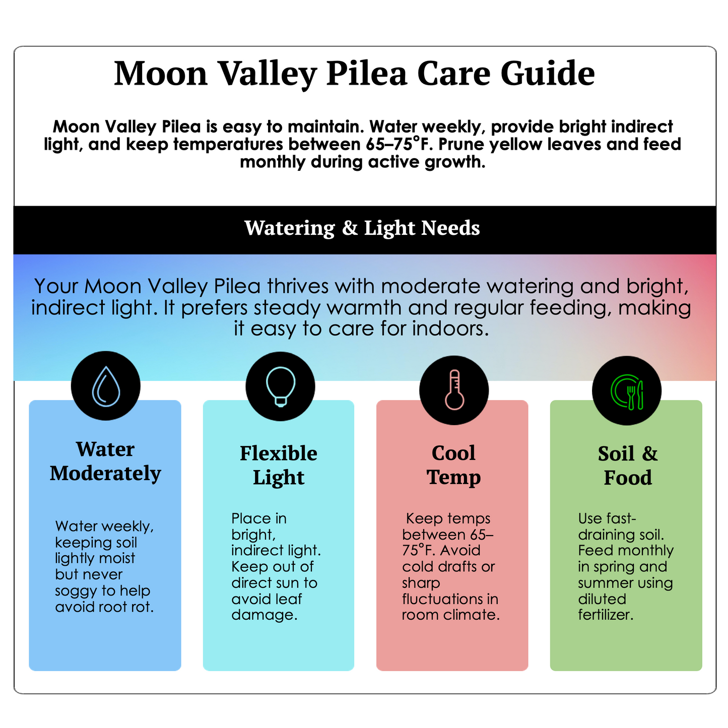 2-PK of Moon Valley Pilea (2 Count) – Textured Foliage Houseplant for Indoor Decor & Easy Care, 3-Inch Pot, Pet Safe