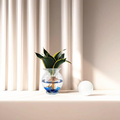 2-PK DIY Glass Hydroponic Planter Kit with Net Cup and Decorative Gems, Grow Your Plants in Water - Plant Not Included