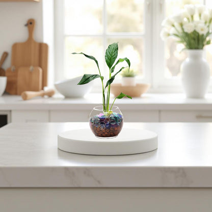 Peace Lily in a Modern Glass Hydroponic Planter with LECA Balls - Low Light Indoor Plant, Air Purifying Houseplant, Free Heat Pack