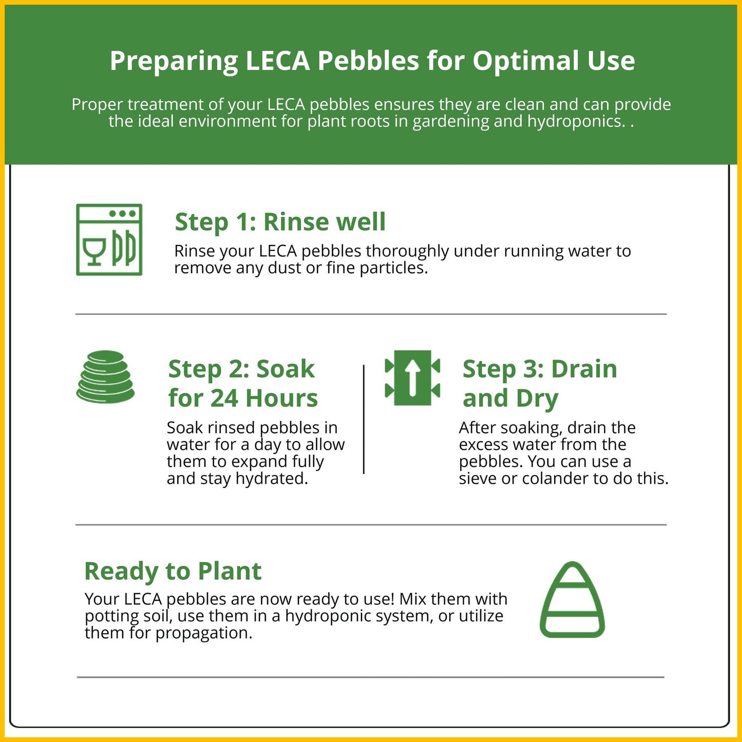 Peace Lily in a Modern Glass Hydroponic Planter with LECA Balls - Low Light Indoor Plant, Air Purifying Houseplant, Free Heat Pack