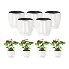 Set of 5 White Self-Watering Plant Pots, 6-Inch Indoor Houseplant Planters with Cotton Wick