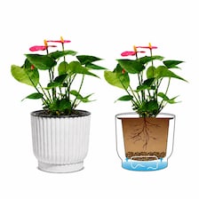 Set of 5 White Self-Watering Plant Pots, 6-Inch Indoor Houseplant Planters with Cotton Wick