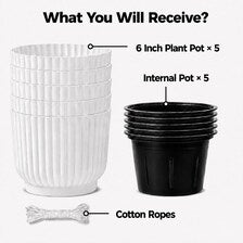 Set of 5 White Self-Watering Plant Pots, 6-Inch Indoor Houseplant Planters with Cotton Wick